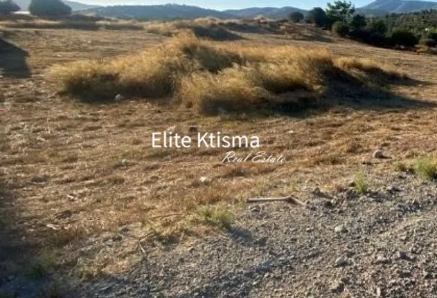 Land plot 17.500 sqm for sale, Rest Of Attica, Markopoulo