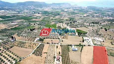 Αγροτεμάχια 5.500 τ.μ. για πώληση