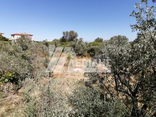 Οικόπεδο 2.983 τ.μ. πρός πώληση, Ν. Χίου, Χίος-thumb-2
