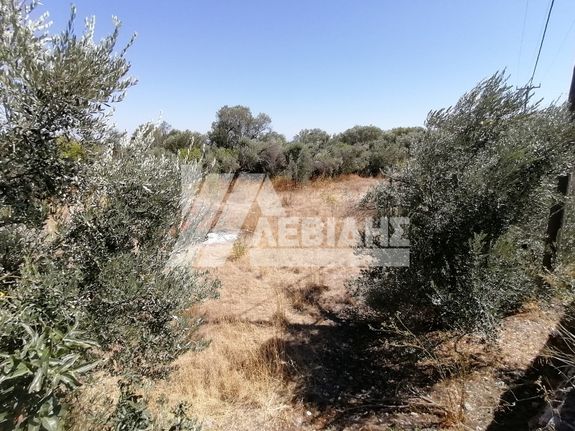 Land plot 2.983 sqm for sale, Chios Prefecture, Chios