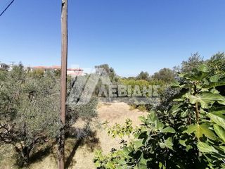Οικόπεδο 1.490 τ.μ. πρός πώληση, Ν. Χίου, Χίος-thumb-3