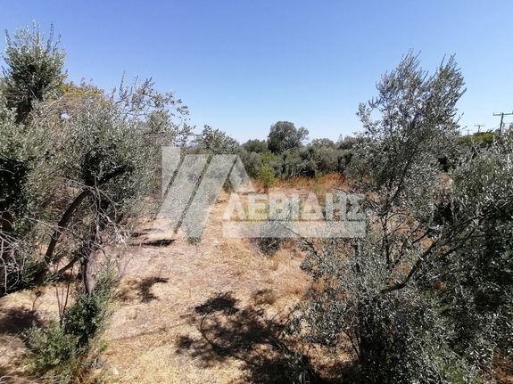 Land plot 1.490 sqm for sale, Chios Prefecture, Chios