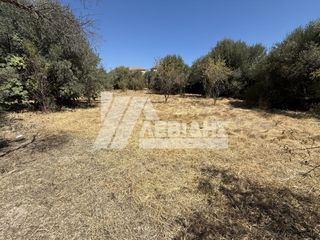 Οικόπεδο 1.490 τ.μ. πρός πώληση, Ν. Χίου, Χίος-thumb-4