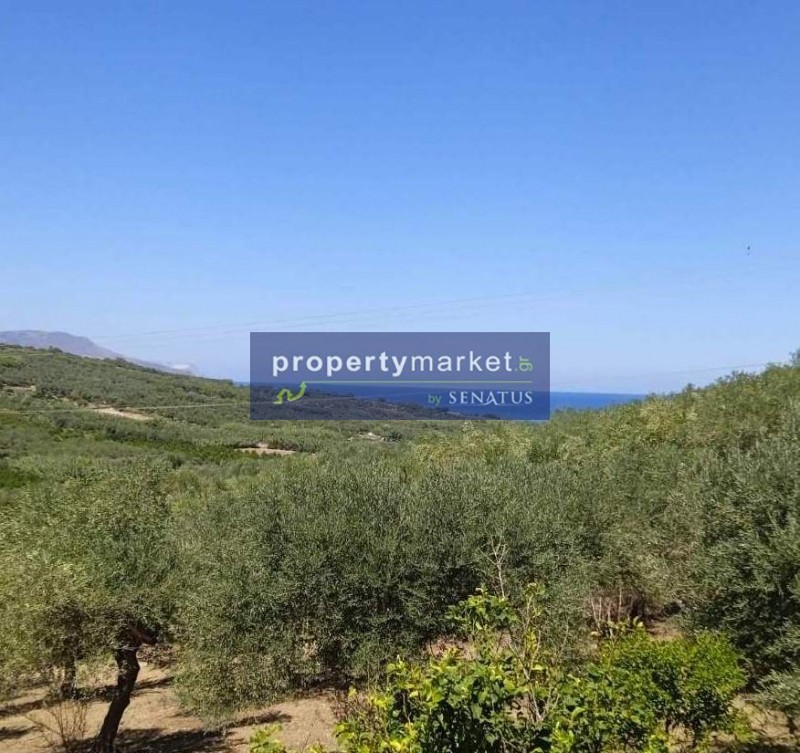 Αγροτεμάχια 4.800 τ.μ. πρός πώληση, Ν. Ρεθύμνου, Λάππα