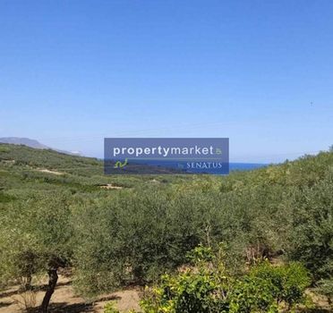 Parcel 4.800 sqm for sale