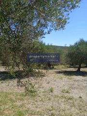 Αγροτεμάχια 4.800 τ.μ. πρός πώληση, Ν. Ρεθύμνου, Λάππα-thumb-1