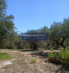 Αγροτεμάχια 4.800 τ.μ. πρός πώληση, Ν. Ρεθύμνου, Λάππα-thumb-2