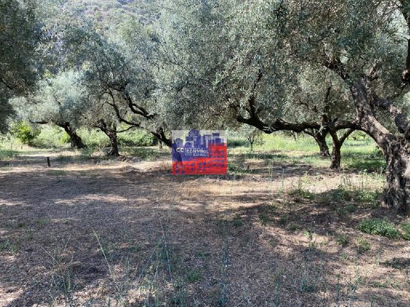 Αγροτεμάχια 500 τ.μ. για πώληση, Αχαΐα, Διακοπτό