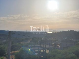 Μονοκατοικία 360 τ.μ. για πώληση, Αχαΐα, Μεσσατίδα-thumb-1