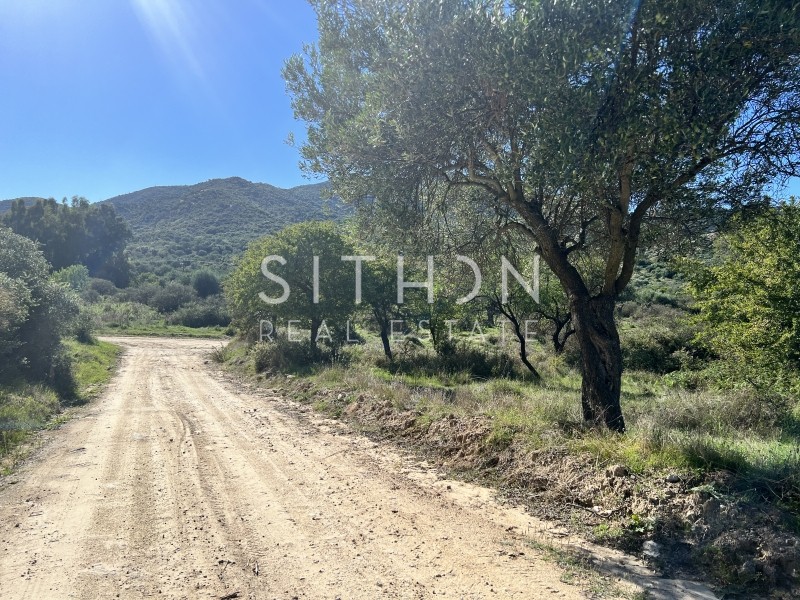Αγροτεμάχια 2.120 τ.μ. προς πώληση, Συκιά Τορώνης
