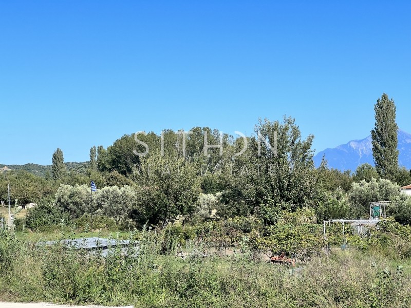 Αγροτεμάχια 2.020 τ.μ. προς πώληση, Συκιά Τορώνης
