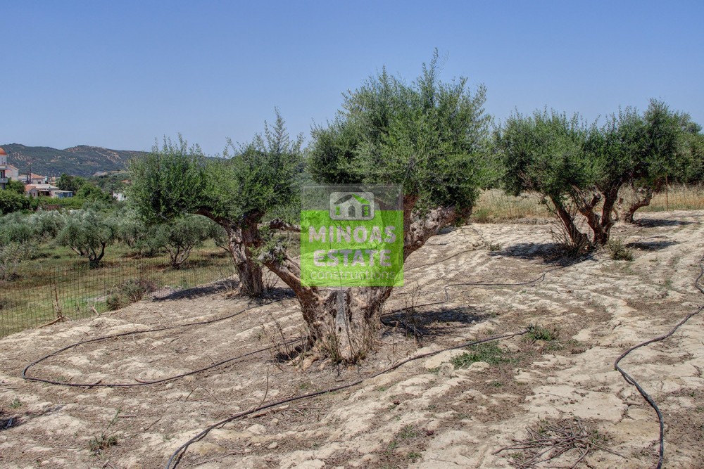 Οικόπεδο 360 τ.μ. προς πώληση, Καλυδονία