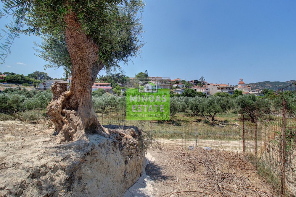Οικόπεδο 360 τ.μ. προς πώληση, Καλυδονία