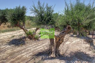Οικόπεδο 360 τ.μ. για πώληση, Ν. Χανίων, Κολυμβάρι-thumb-3