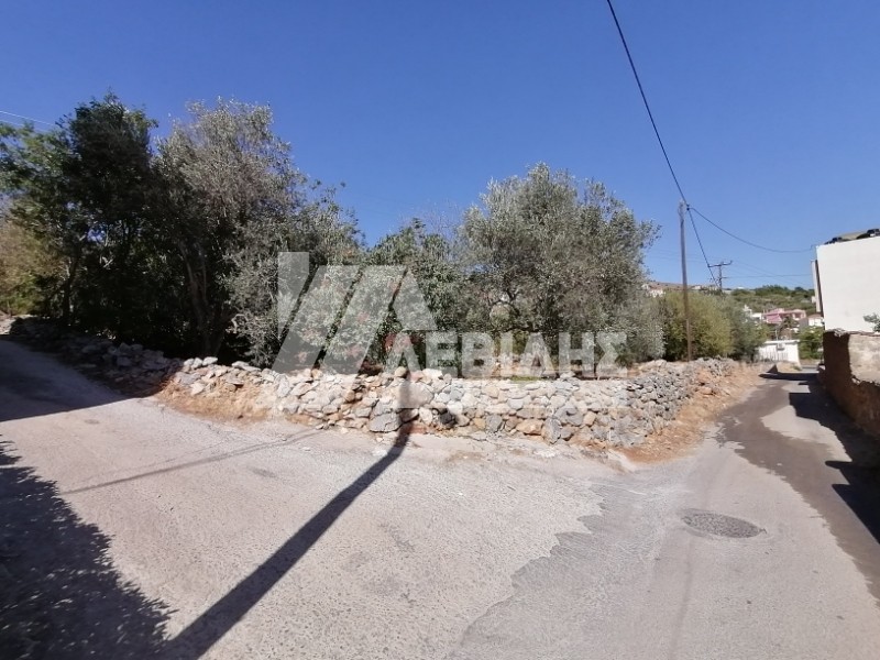 Οικόπεδο 2.003 τ.μ. προς πώληση, Πόλη Χίου