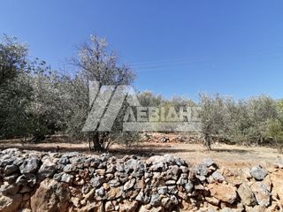 Οικόπεδο 2.003 τ.μ. προς πώληση, Πόλη Χίου-thumb-3