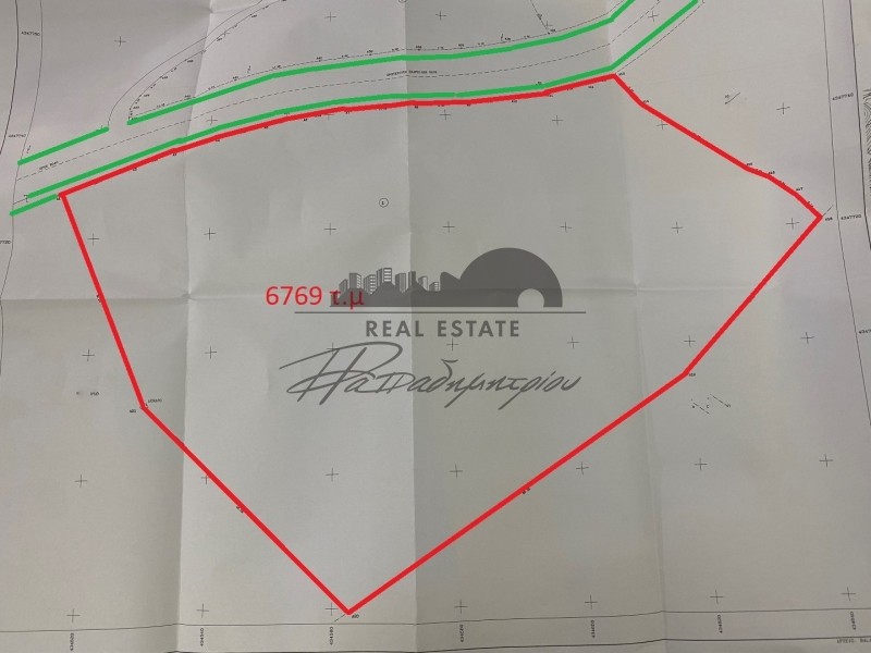 Αγροτεμάχια 6.769 τ.μ. πρός πώληση, Μαγνησία, Αφέτες