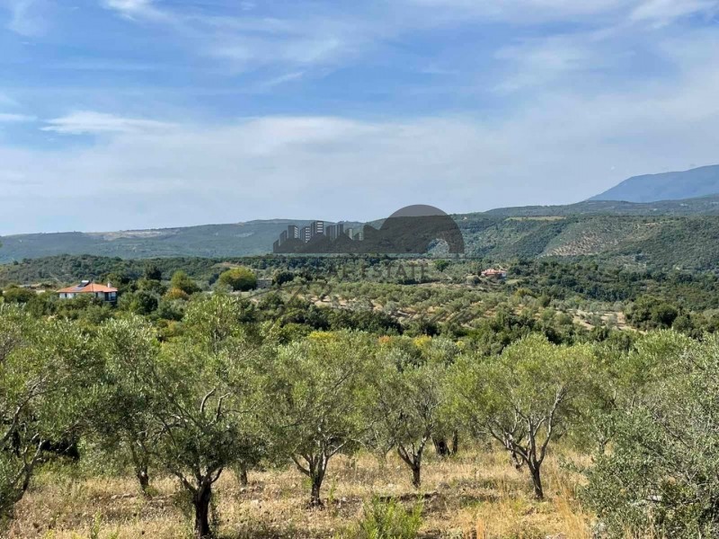 Αγροτεμάχια 6.769 τ.μ. πρός πώληση, Μαγνησία, Αφέτες
