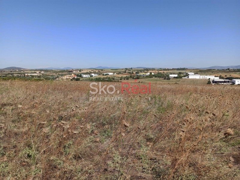 Αγροτεμάχια 10.000 τ.μ. προς πώληση, Μεσημέρι Επανομής