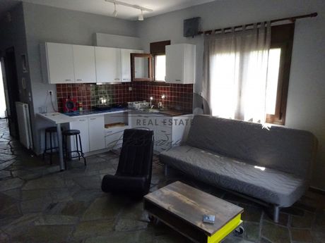 Apartment 55 sqm for rent