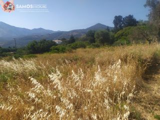 Οικόπεδο 1.447 τ.μ. για πώληση, Ν. Σάμου, Σάμος-thumb-2