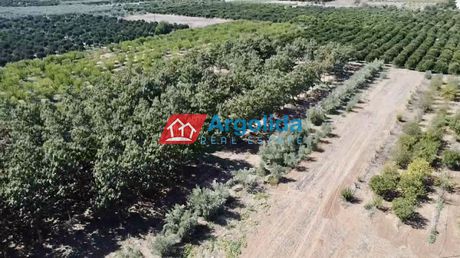 Αγροτεμάχια 6.400 τ.μ. για πώληση