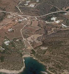 Αγροτεμάχια 6.800 τ.μ. για πώληση