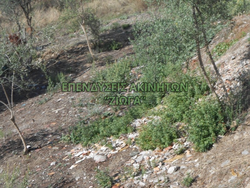 Οικόπεδο 390 τ.μ. πρός πώληση, Μαγνησία, Νέα Αγχίαλος