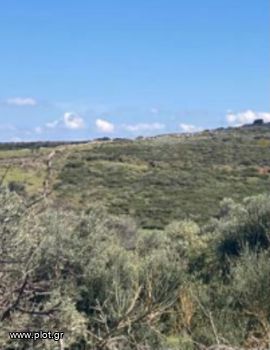 Οικόπεδο 21.800τ.μ. για πώληση-Πάρος