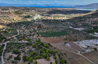 Αγροτεμάχια 6.386 τ.μ. για πώληση, Αργολίδα, Κρανίδι-thumb-13