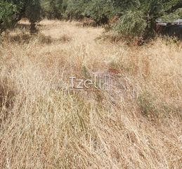 Οικόπεδο 1.100 τ.μ. για πώληση, Αχαΐα, Βραχναίικα-thumb-21