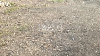 Οικόπεδο 1.100 τ.μ. για πώληση, Αχαΐα, Βραχναίικα-thumb-12