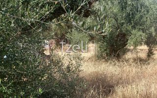 Οικόπεδο 1.100 τ.μ. για πώληση, Αχαΐα, Βραχναίικα-thumb-13