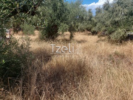 Οικόπεδο 1.100 τ.μ. για πώληση
