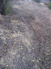 Οικόπεδο 1.100 τ.μ. για πώληση, Αχαΐα, Βραχναίικα-thumb-20
