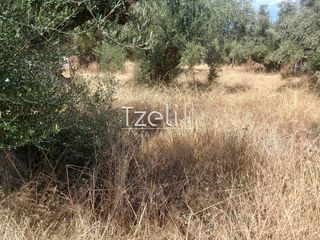 Οικόπεδο 1.100 τ.μ. για πώληση, Αχαΐα, Βραχναίικα-thumb-19
