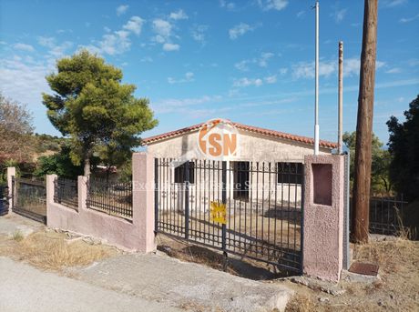 Μονοκατοικία 82τ.μ. για πώληση-Μεσσατίδα » Λυγιές