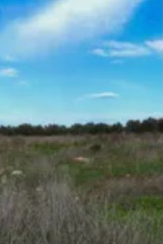 Land plot 45.000sqm for sale-Naxos