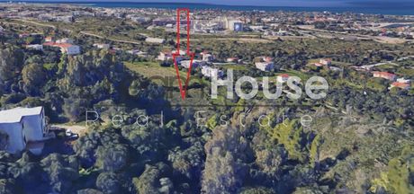 Αγροτεμάχια 9.953 τ.μ. για πώληση