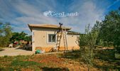 Studio / γκαρσονιέρα 40τ.μ. για πώληση-Ερμιόνη » Κέντρο