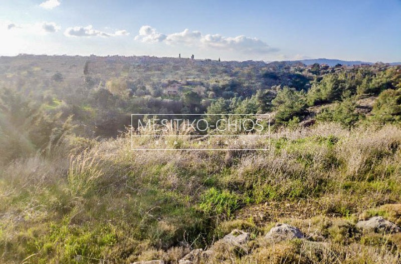 Οικόπεδο 4.419 τ.μ. προς πώληση, Πόλη Χίου