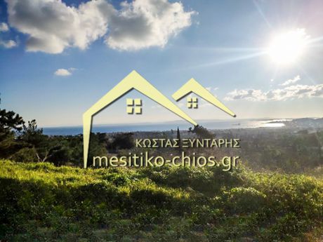 Οικόπεδο 4.419τ.μ. για πώληση-Χίος » Πόλη χίου