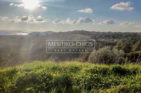 Οικόπεδο 4.419 τ.μ. προς πώληση