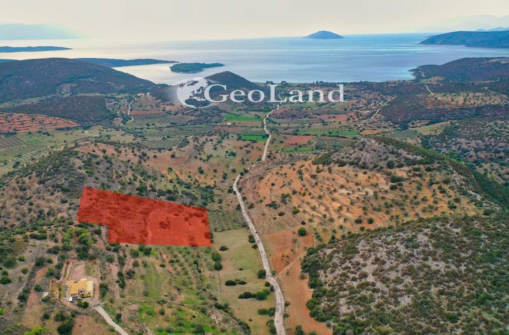 Αγροτεμάχια 13.880 τ.μ. πρός πώληση, Αργολίδα, Κρανίδι