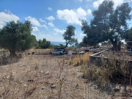 Αγροτεμάχια 2.000 τ.μ. για πώληση