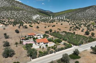 Μονοκατοικία 331 τ.μ. για πώληση, Αργολίδα, Ερμιόνη-thumb-24