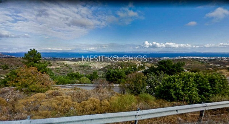 Αγροτεμάχια 1.332 τ.μ. προς πώληση, Ομηρούπολη
