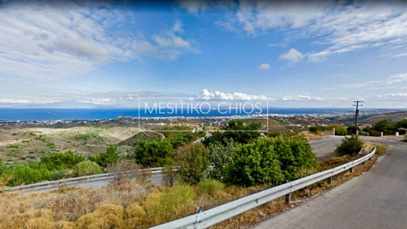 Αγροτεμάχια 1.332 τ.μ. προς πώληση, Ομηρούπολη