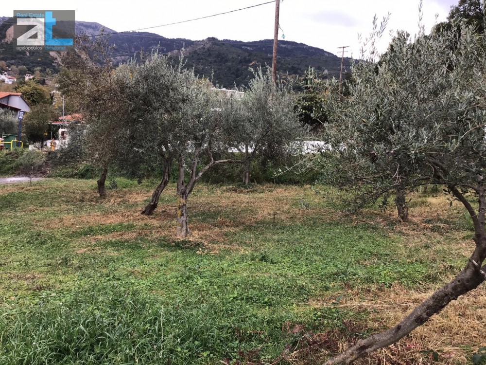 Οικόπεδο 956 τ.μ. προς πώληση, Άνω Καστρίτσι