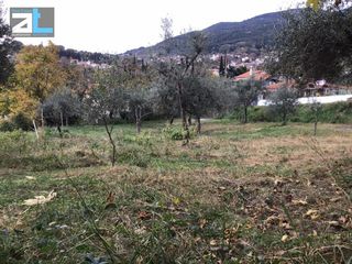 Οικόπεδο 956 τ.μ. προς πώληση, Άνω Καστρίτσι-thumb-6